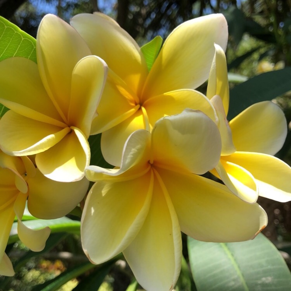 Meet your Posher, Ashton